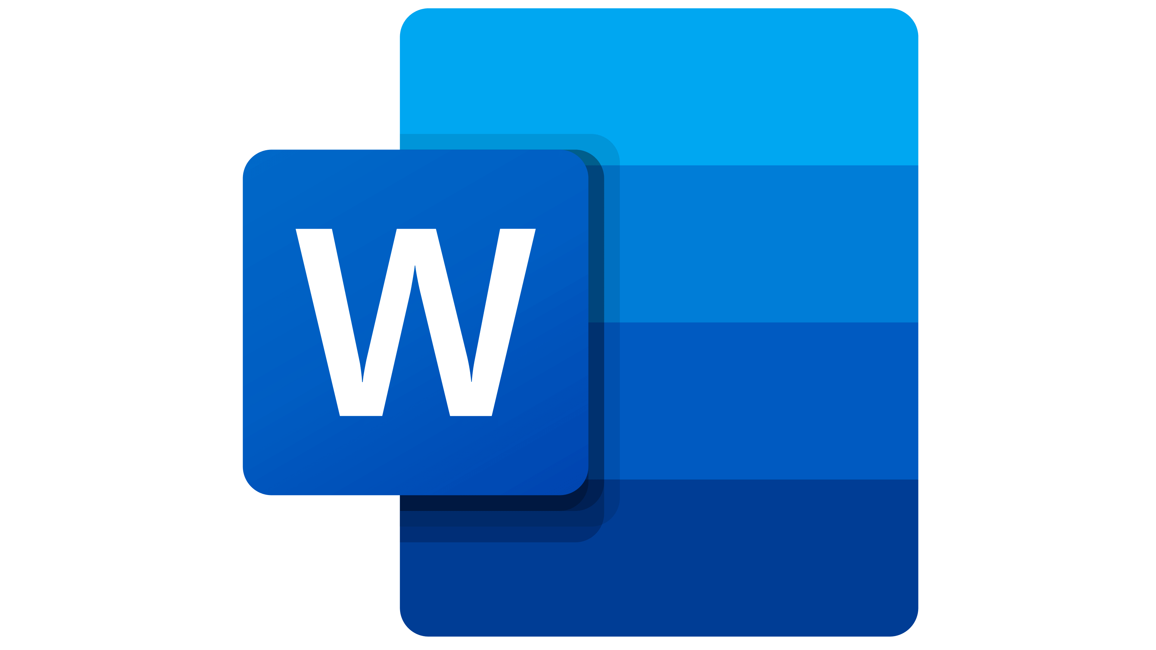 MS Word