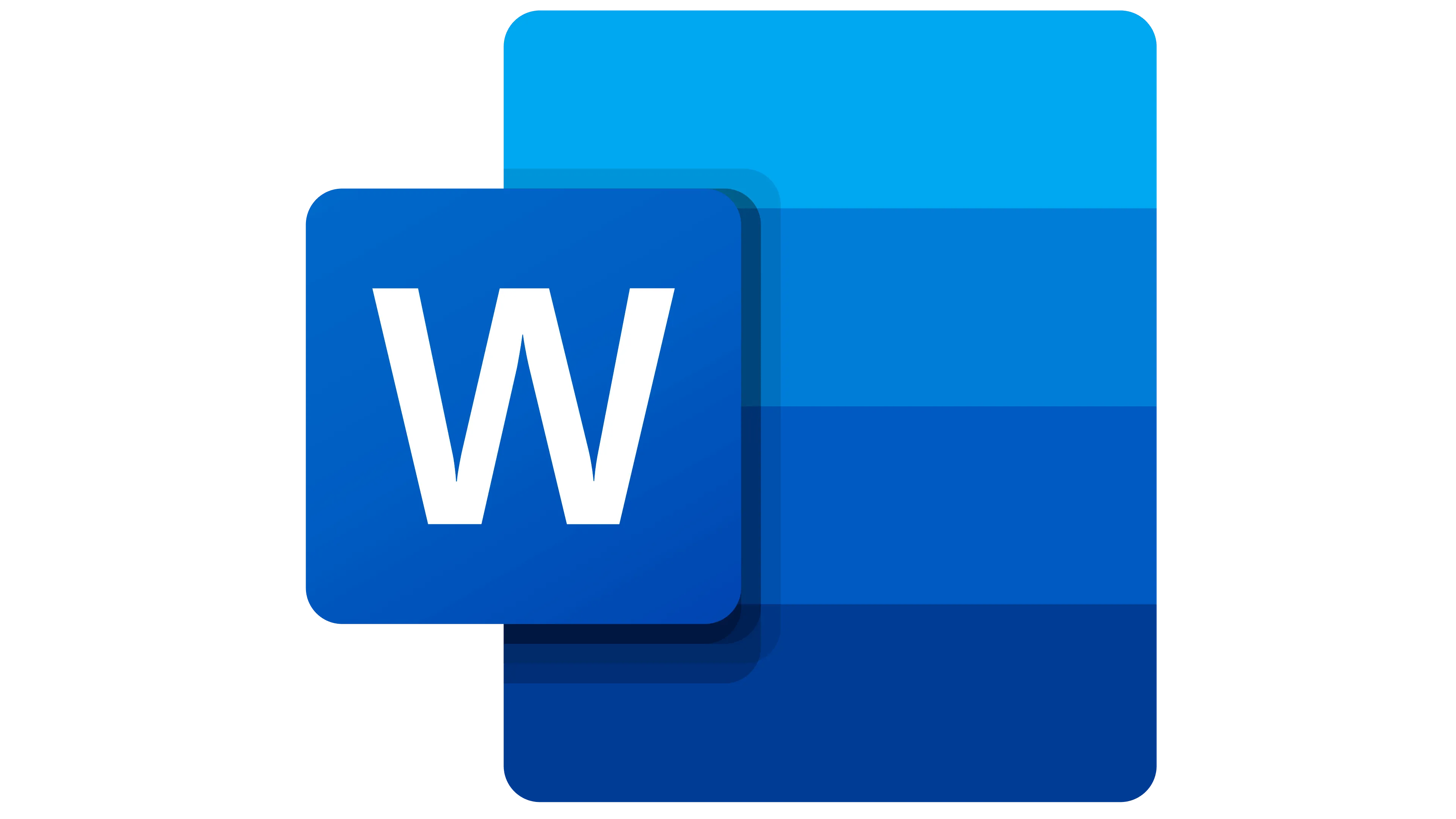 MS Word